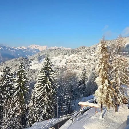 Bel Alpin Avec Vue Imprenable