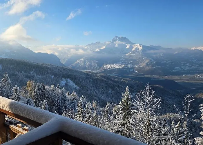Bel Alpin Avec Vue Imprenable